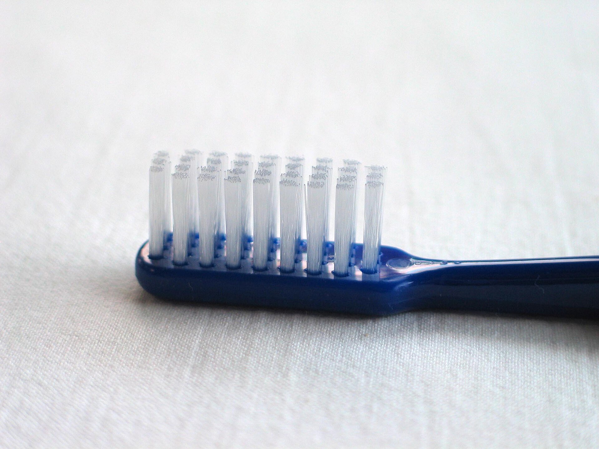The bristles of a toothbrush, close up